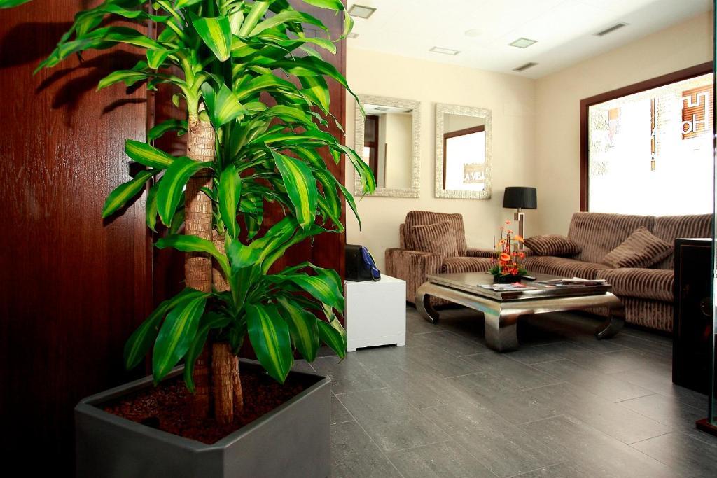 Rural Vieja Guest house 3*
